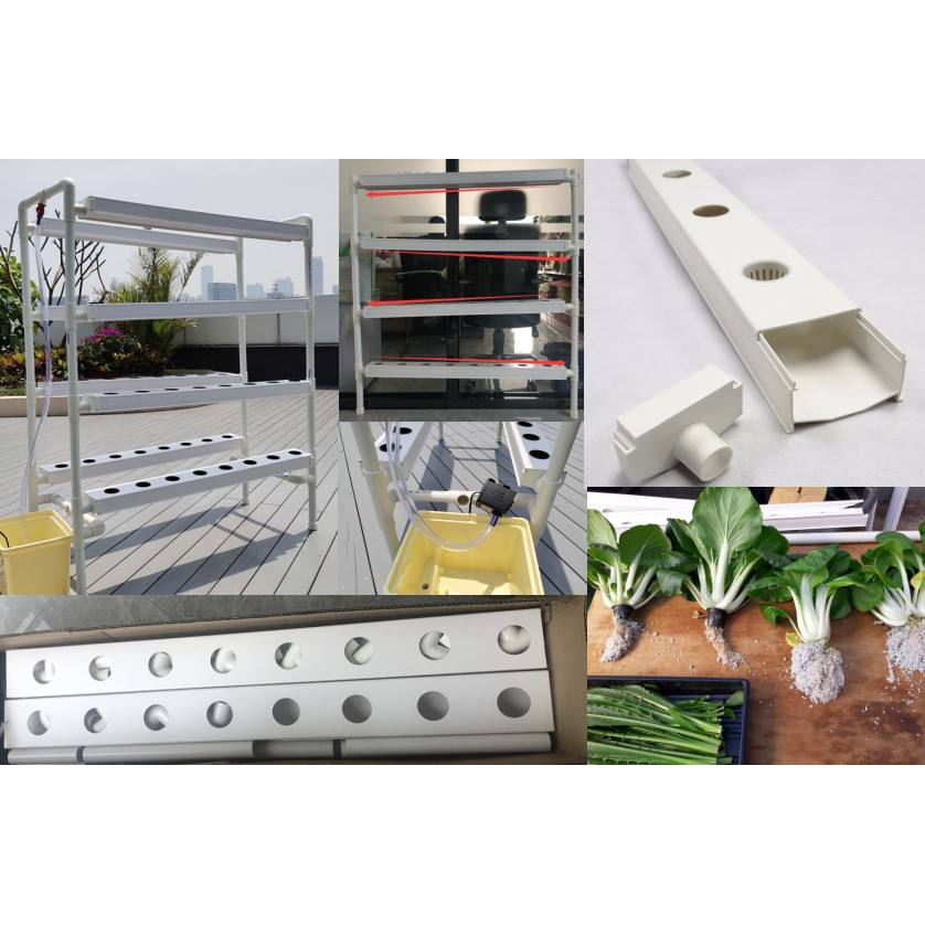 Small Hydroponic Growing System