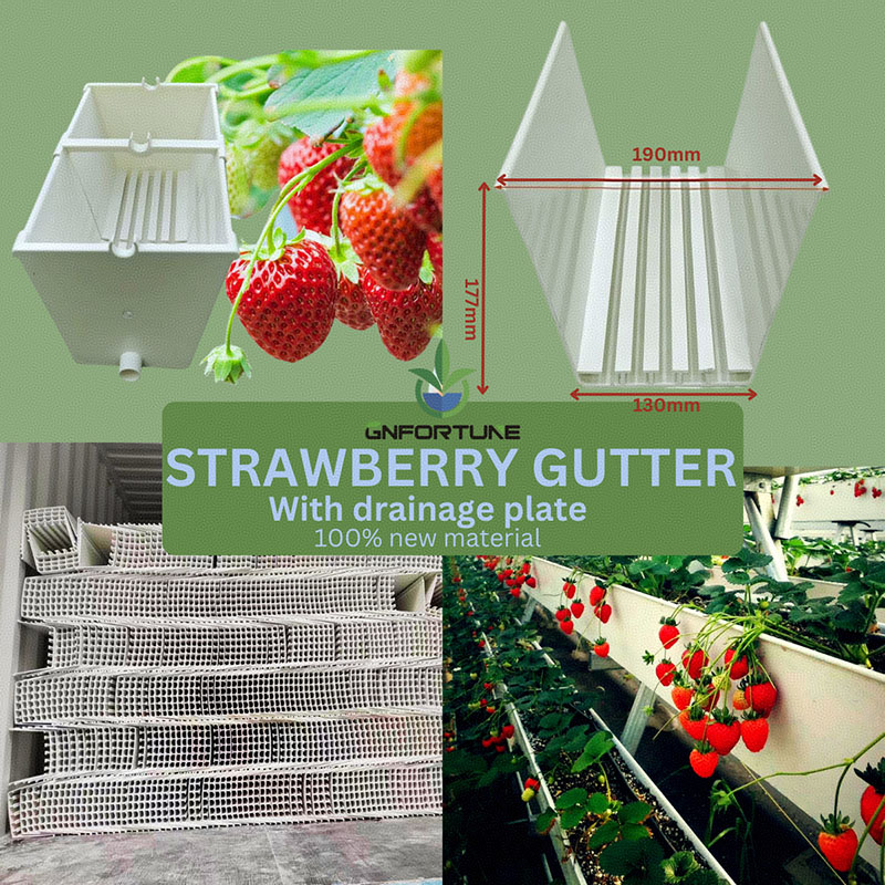 Strawberry Gutter with Drainage Board