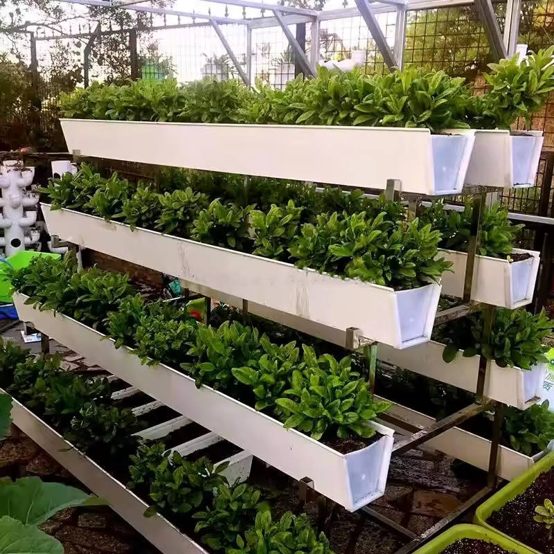 Hydroponic Growing Gutter