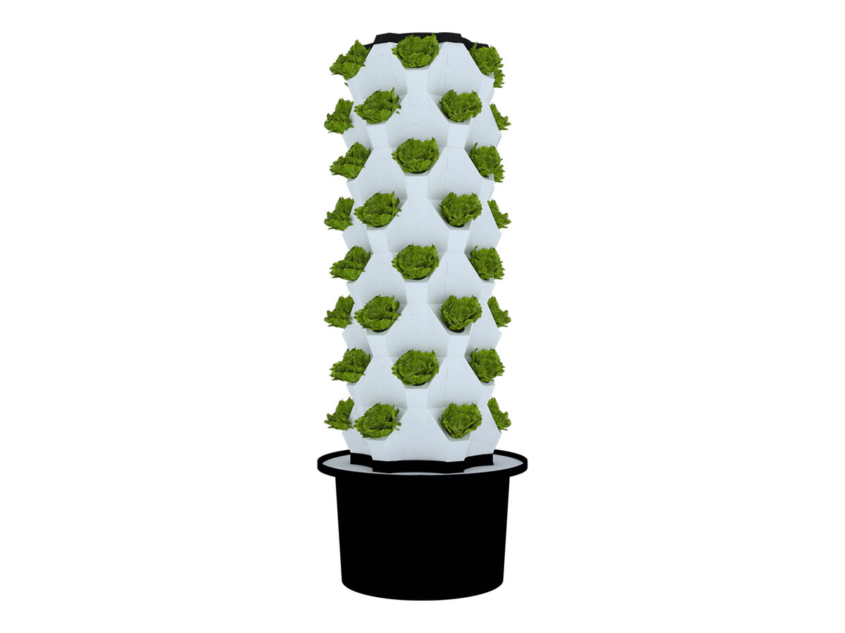 Home Application Pineapple Tower