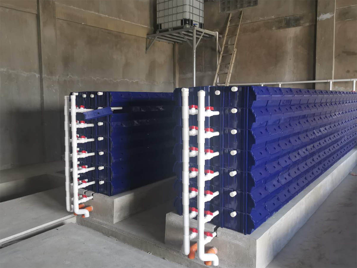 Crab Tray in Use - Scenario 1