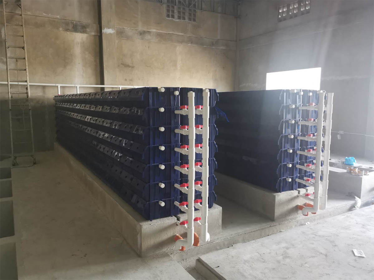 Crab Tray in Use - Scenario 2