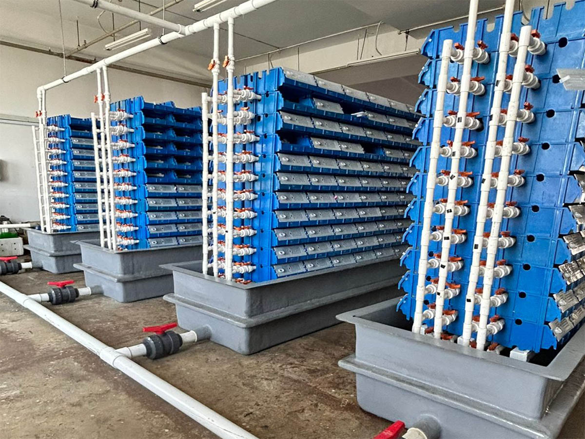 Aquaculture Basin - Scene 5