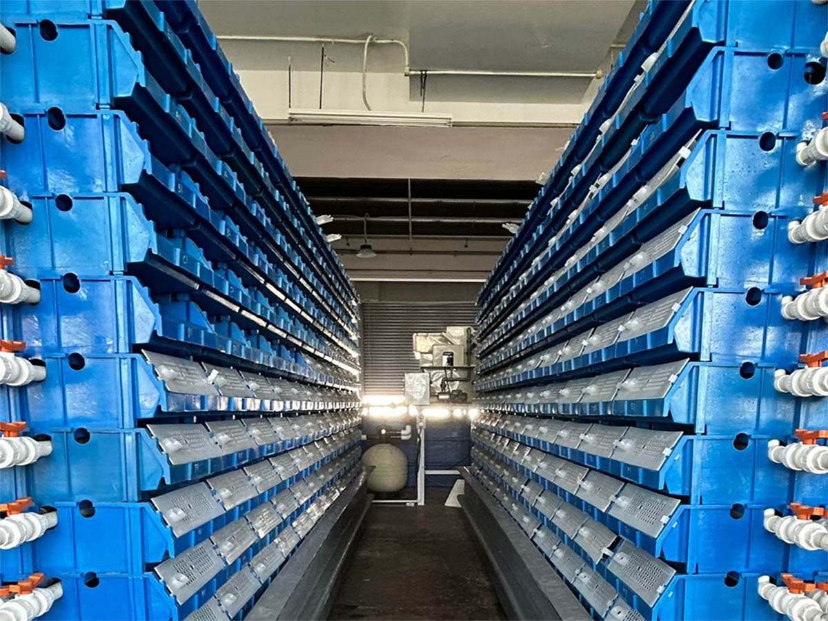 Aquaculture Setup - Scenario 6