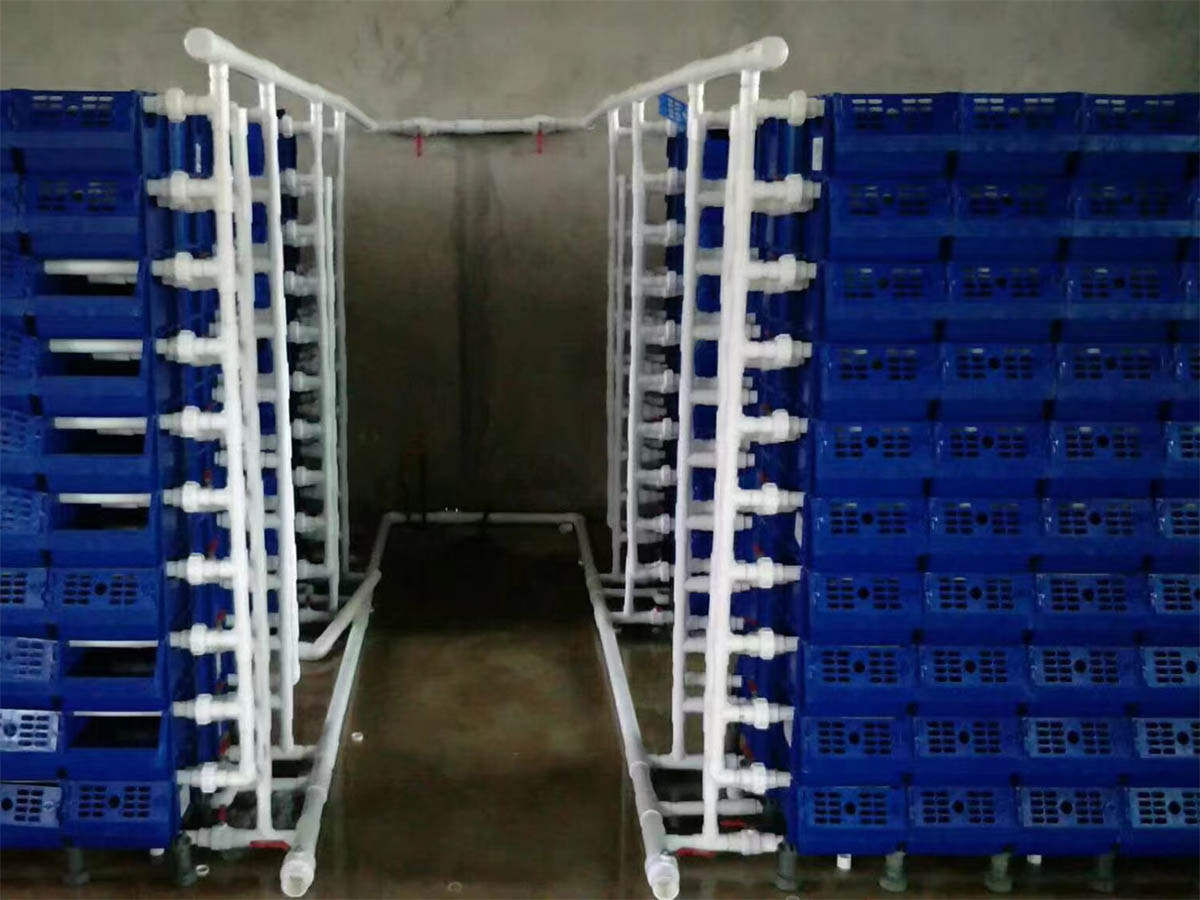 Shrimp and Crab Farming Environment 2