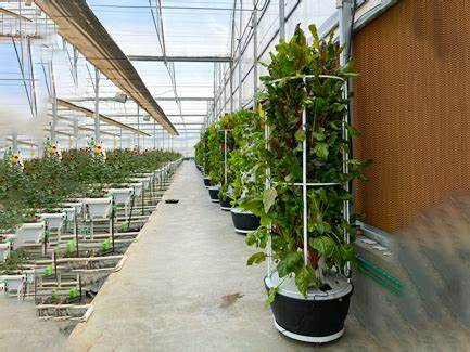 Hydroponic Tower