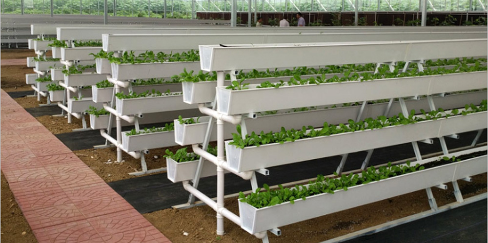 Strawberry Gutter for Hydroponic Systems Strawberry Gutter for Hydroponic Systems