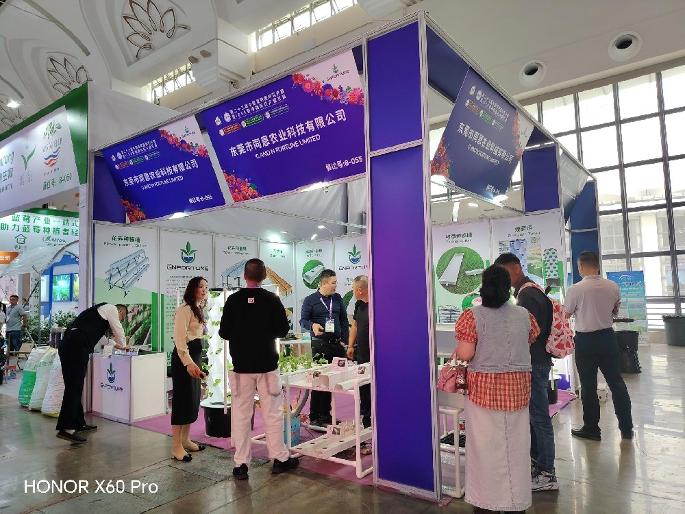 2025 – Yunnan Flower Exhibition