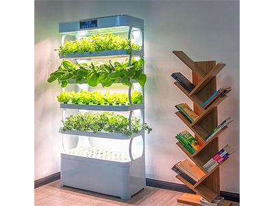 What Is Vertical Farming Hydroponic? What Is Vertical Farming Hydroponic?