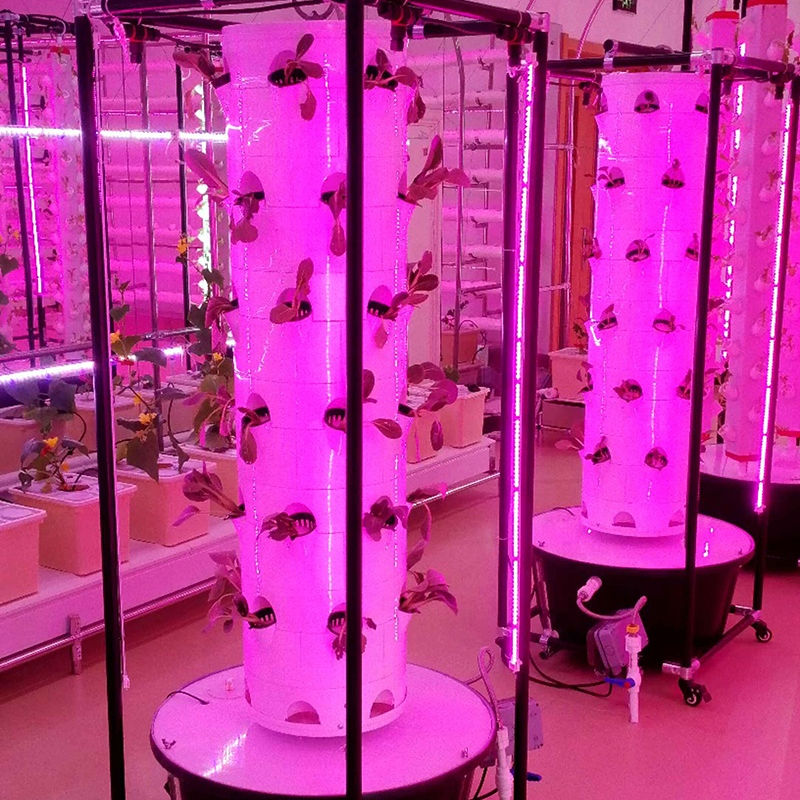 Growing Lights for NFT Hydroponic Systems Growing Lights for NFT Hydroponic Systems