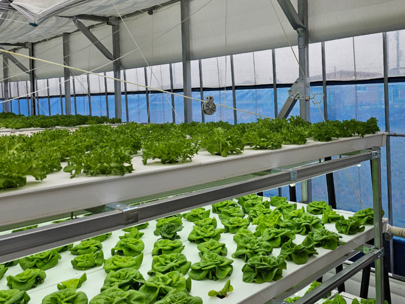 How to Build a Fodder Growing System