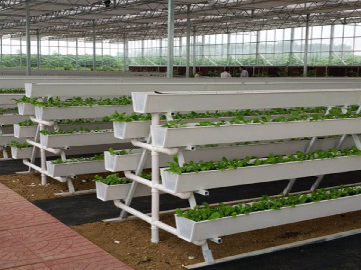 Hydroponics System