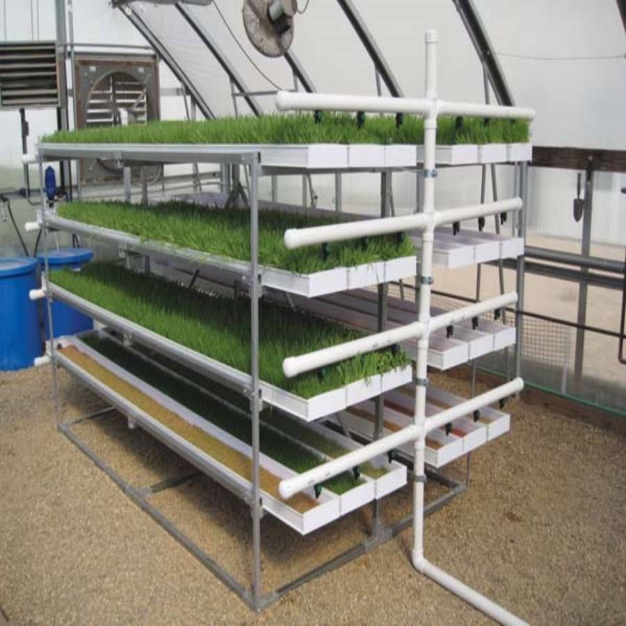 Hydroponic Grass Growing System Hydroponic Grass Growing System