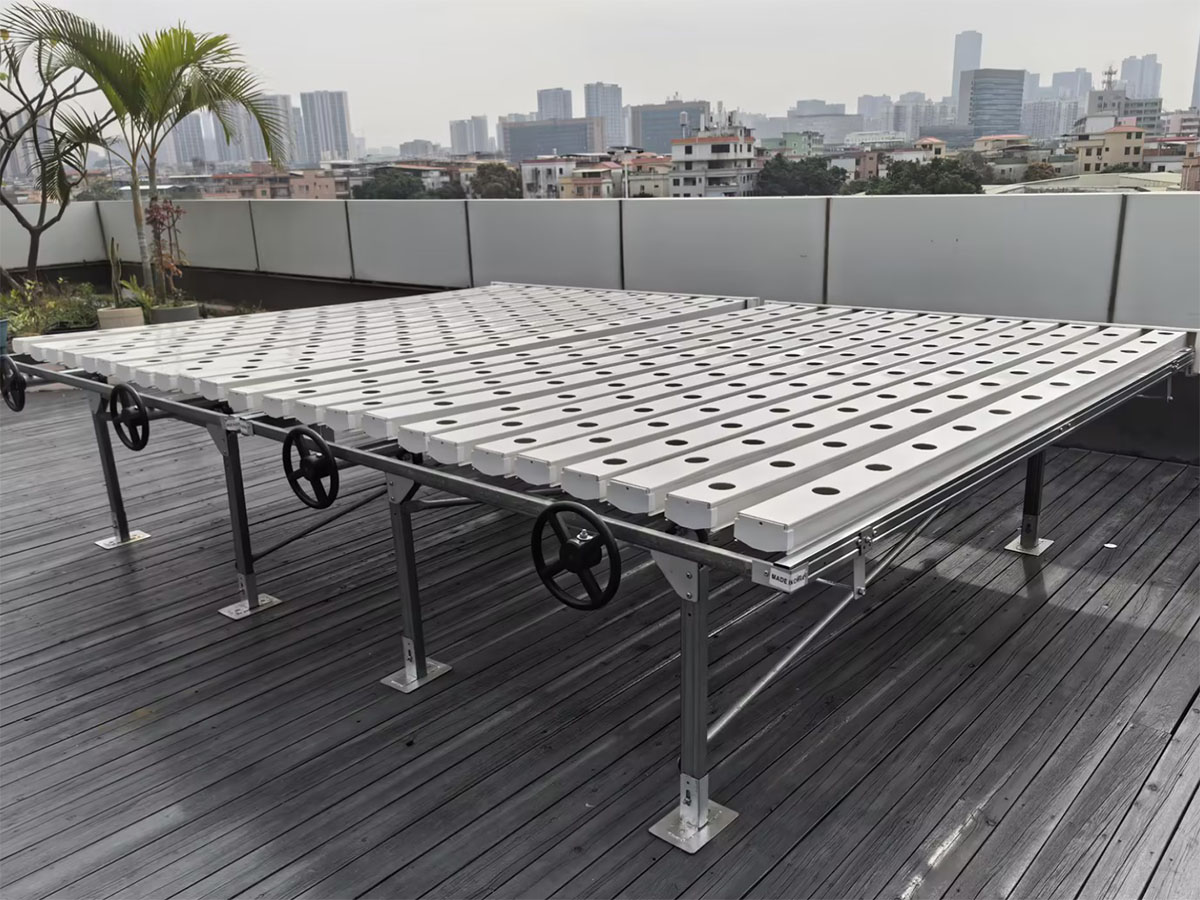 What Can You Grow in a NFT System