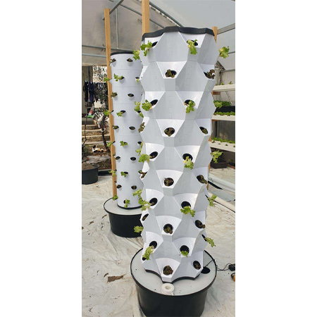 Pineapple Tower Hydroponic Pineapple Tower Hydroponic