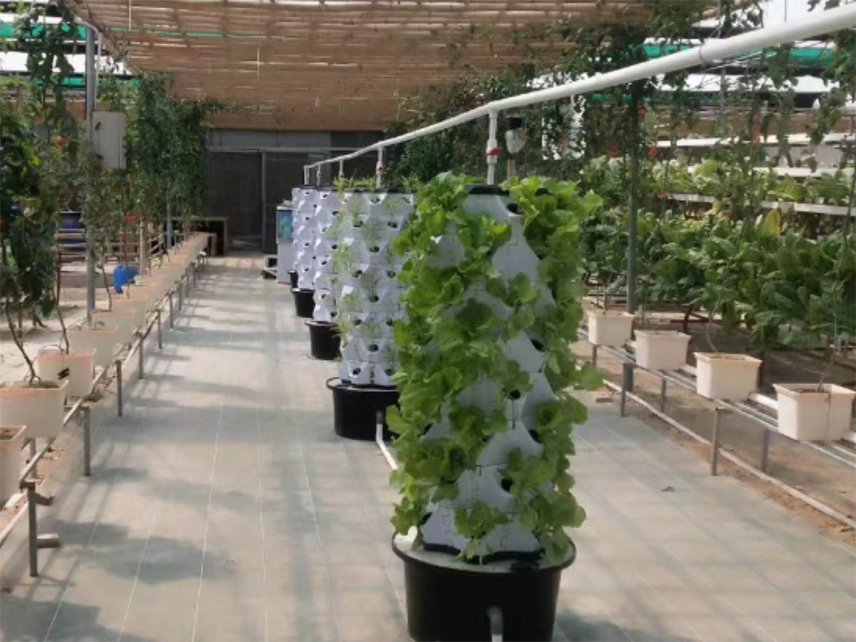 What Grows Best in a Hydroponic Tower What Grows Best in a Hydroponic Tower