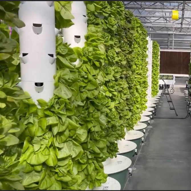 Hydroponic Tower System