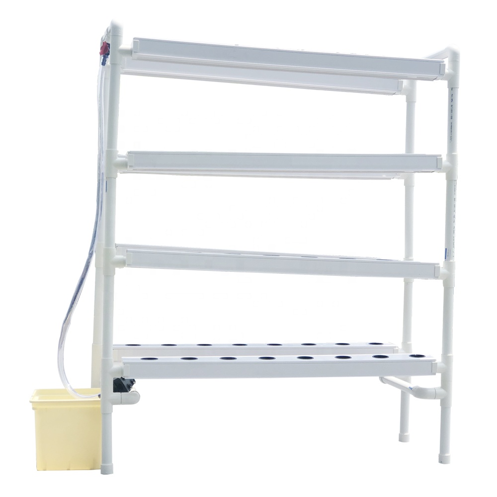 Mini Hydroponic System