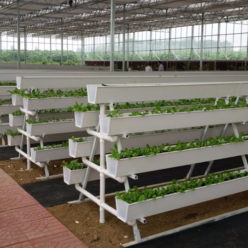 Vertical Strawberry Hydroponic Gutter System