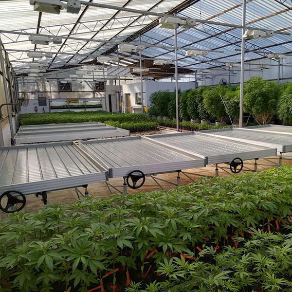 Hydroponic Ebb and Flow System