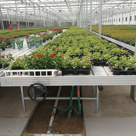 Hydroponics Fodder Tray Hydroponics Fodder Tray