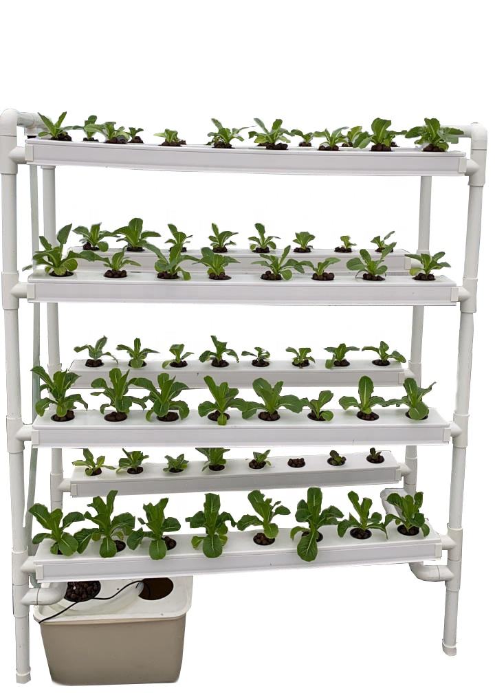 Hydroponic Vegetable Growing System Hydroponic Vegetable Growing System