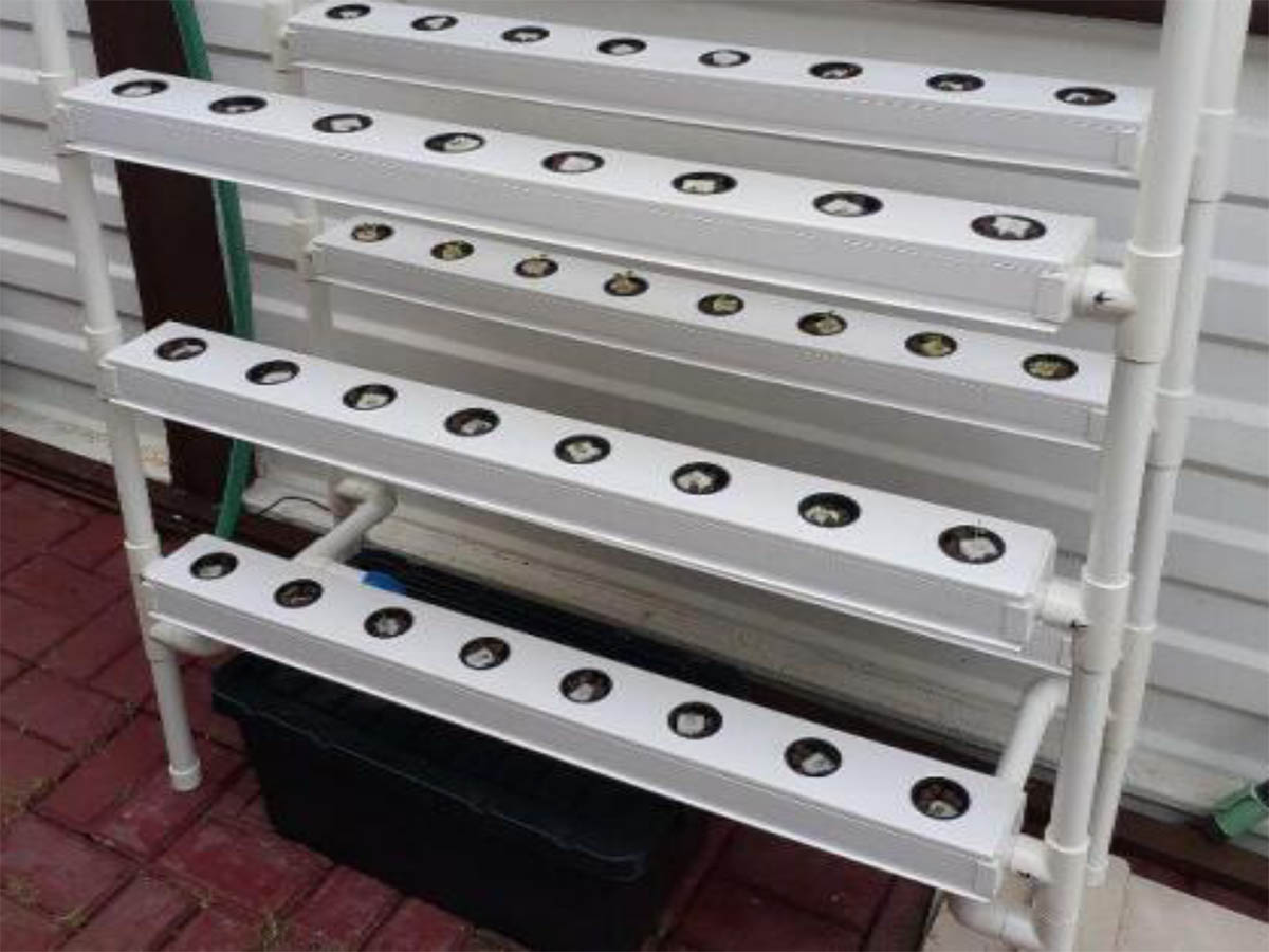 How Does NFT Hydroponics Work