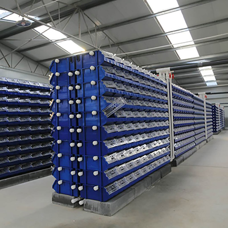 Vertical Crab Farming Vertical Crab Farming