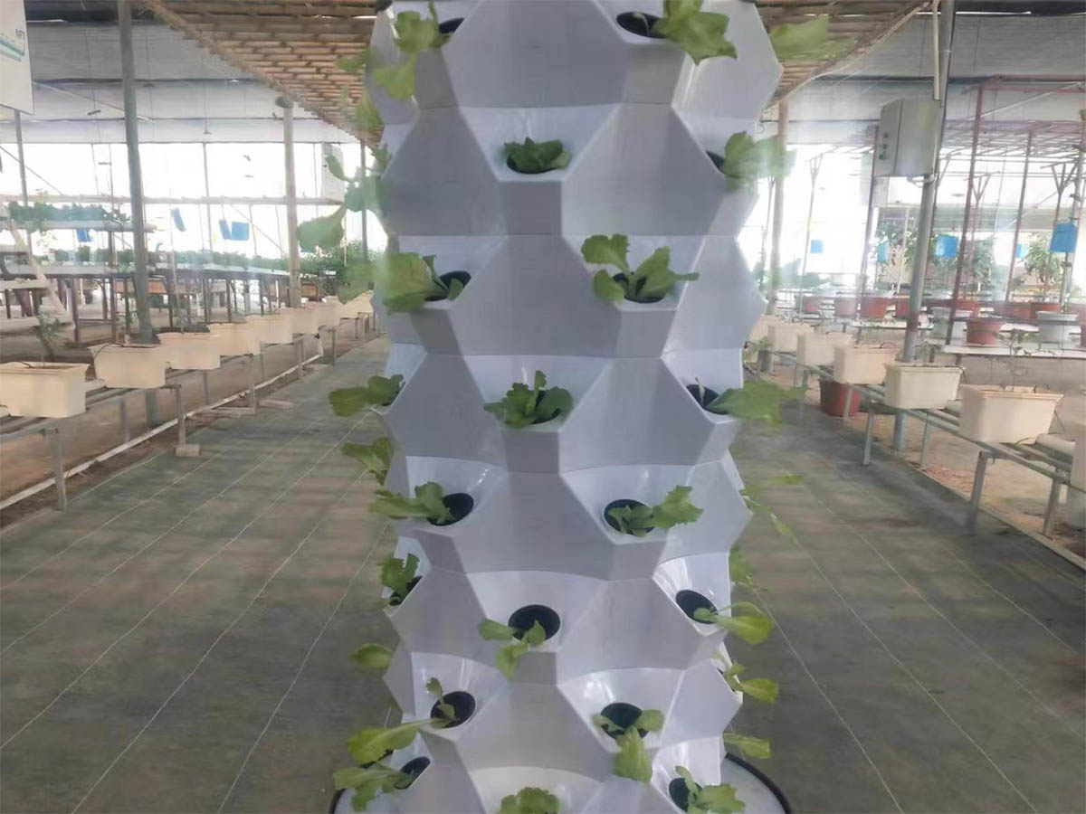 Can Pineapples Be Grown Hydroponically? Can Pineapples Be Grown Hydroponically?