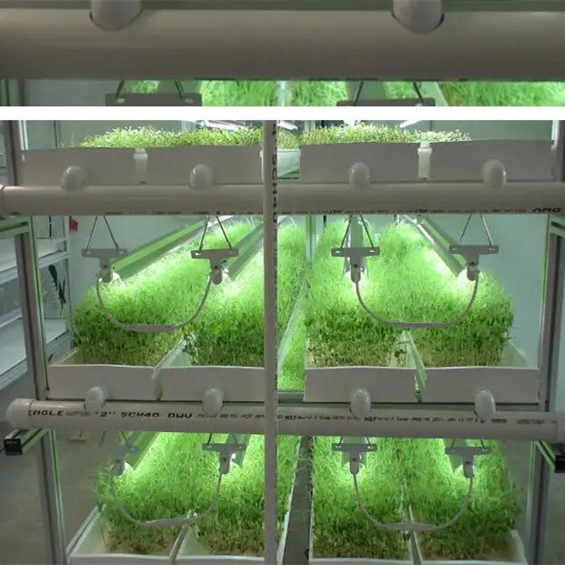 Hydroponic Fodder Gutter System Hydroponic Fodder Gutter System