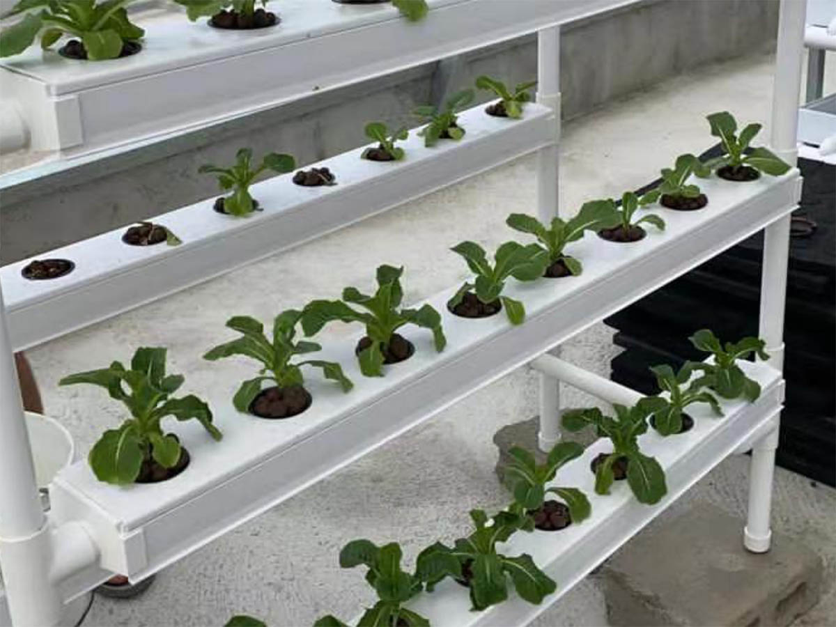 Hydroponics