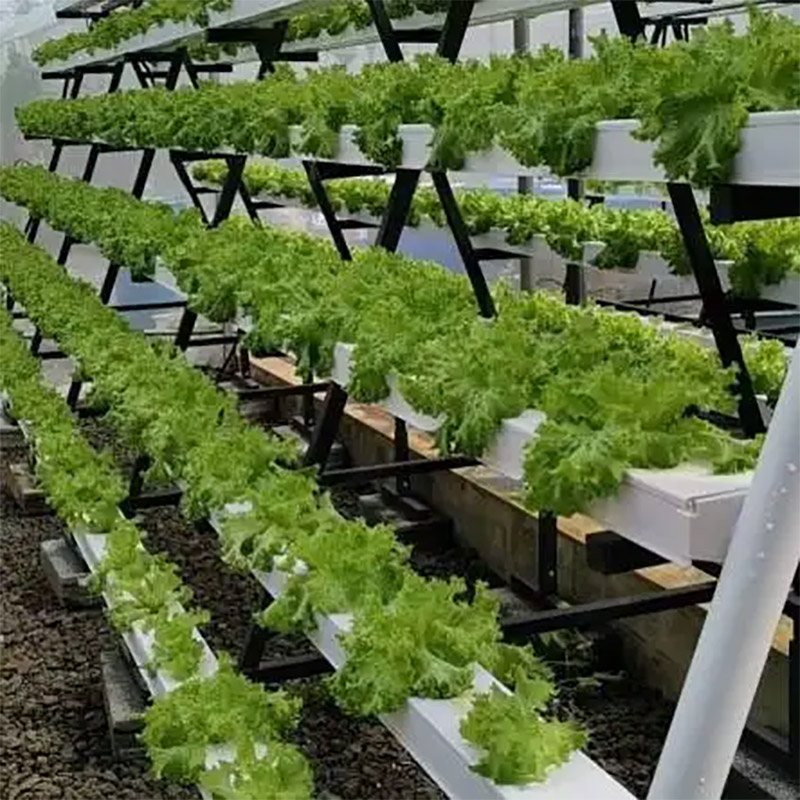 Small Hydroponic Growing Tower