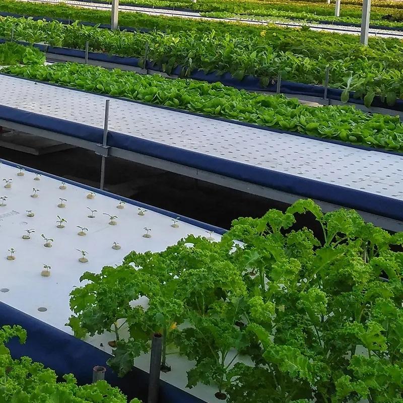 Customized DWC Floating Raft